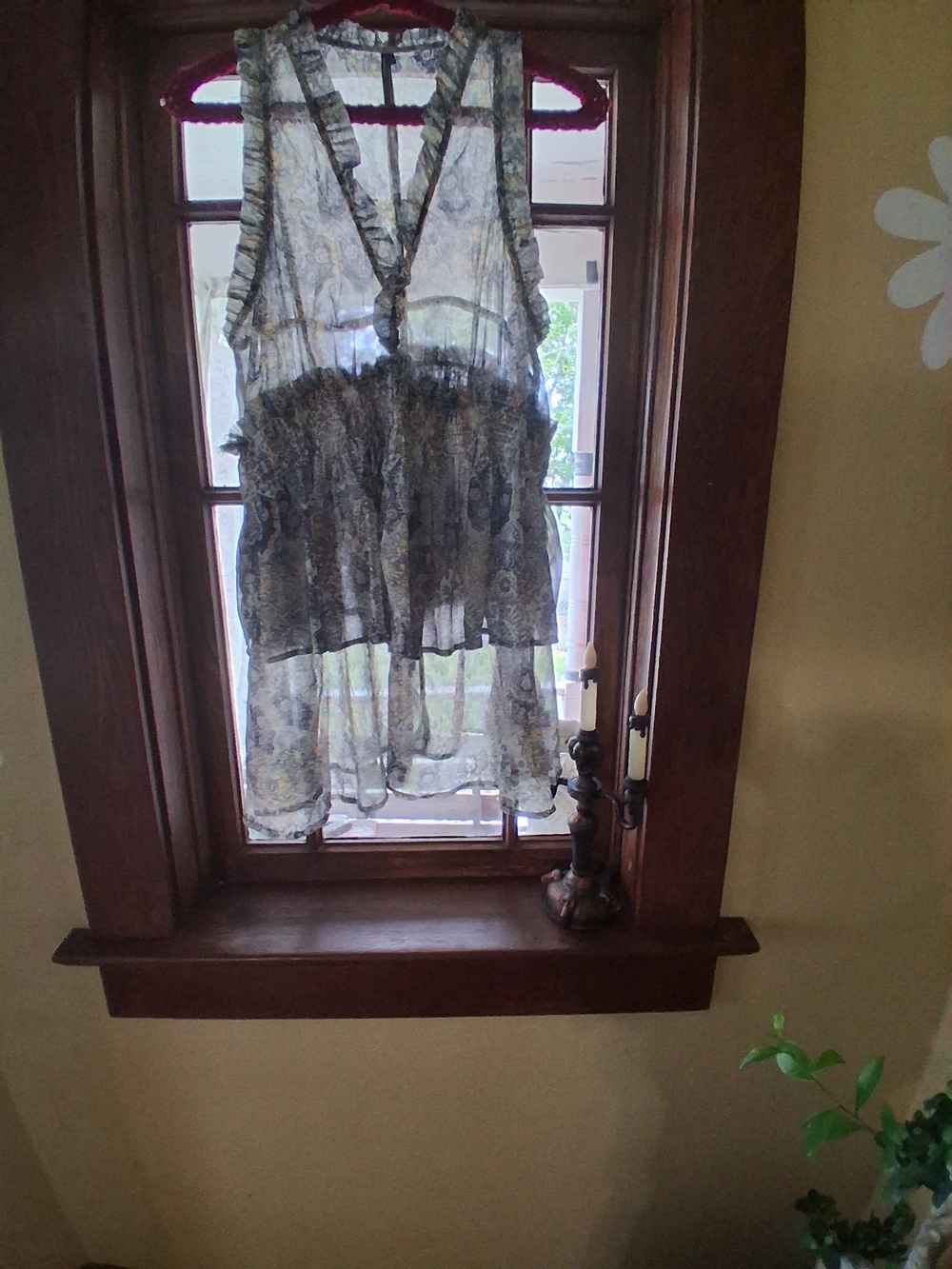 Anthropologie Sheer Floral Ruffle V-Neck Camisole - Black & Cream